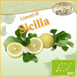 Limoni di Sicilia