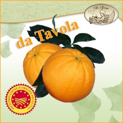 Arance di Sicilia W.Navel- Navelina - Primizia da TAVOLA