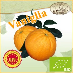 Arance dolci di Ribera - Qualità Vaniglia
