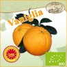 Arance dolci di Ribera - Qualità Vaniglia