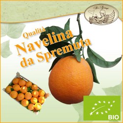 Arance di Ribera - Navelina - Primizia da SPREMUTA