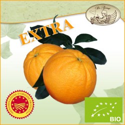 Arance di Sicilia W.Navel Brasiliane EXTRA