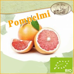 Pompelmi Rosa