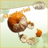 Mandarini Tardivo di Ciaculli